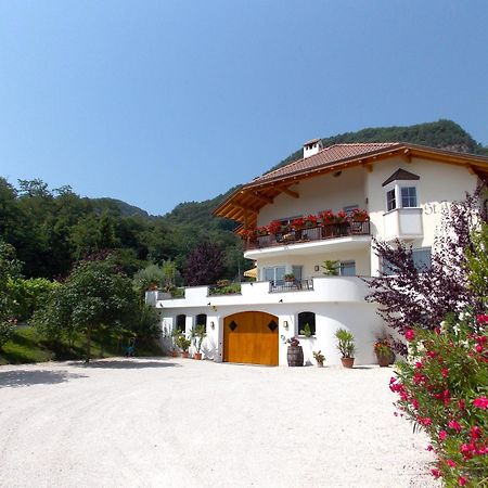 Apartamento St. Josefhof Caldaro sulla Strada del Vino Exterior foto