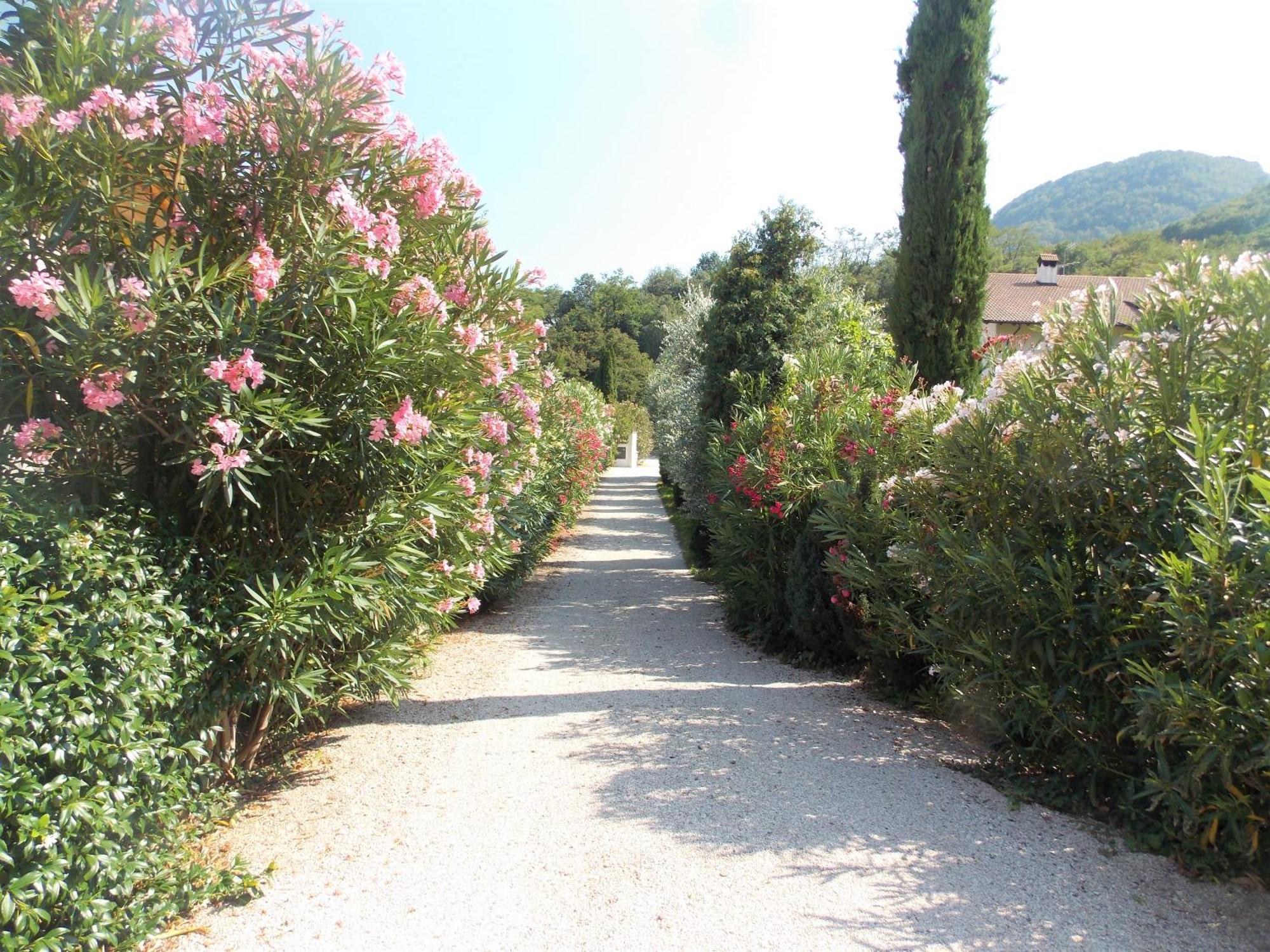 Apartamento St. Josefhof Caldaro sulla Strada del Vino Exterior foto